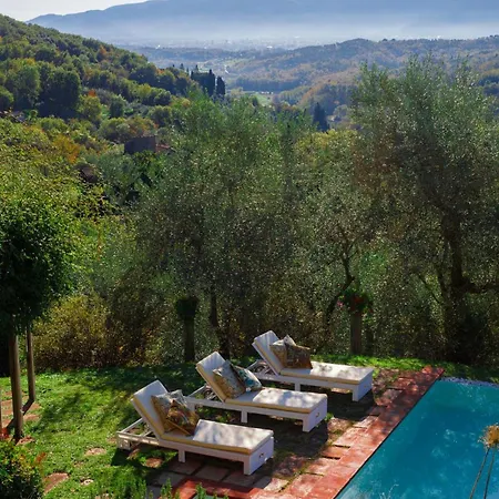Gufo Villa Lucca