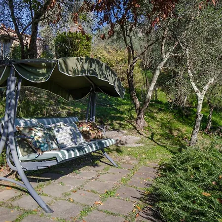 Villa Gufo Lucca