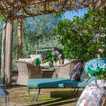 Gufo Villa Lucca