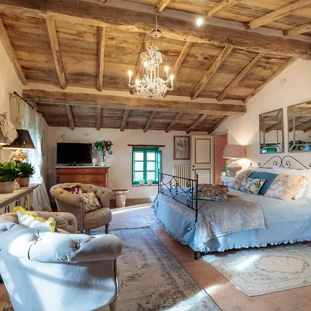 Gufo Lucca